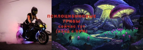 СК Лагань