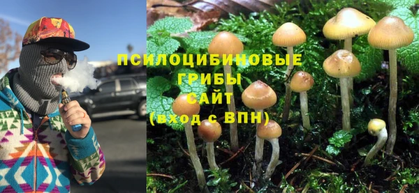 СК Лагань