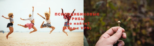 Альфа ПВП Лабытнанги