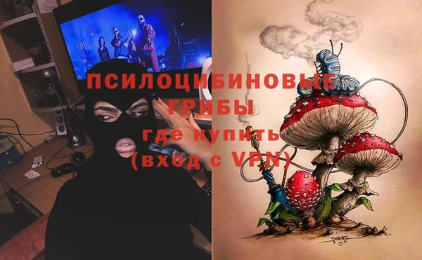 Альфа ПВП Лабытнанги