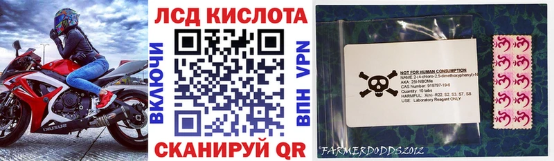 Купить закладки Невельск Марки N-bome 1,8мг